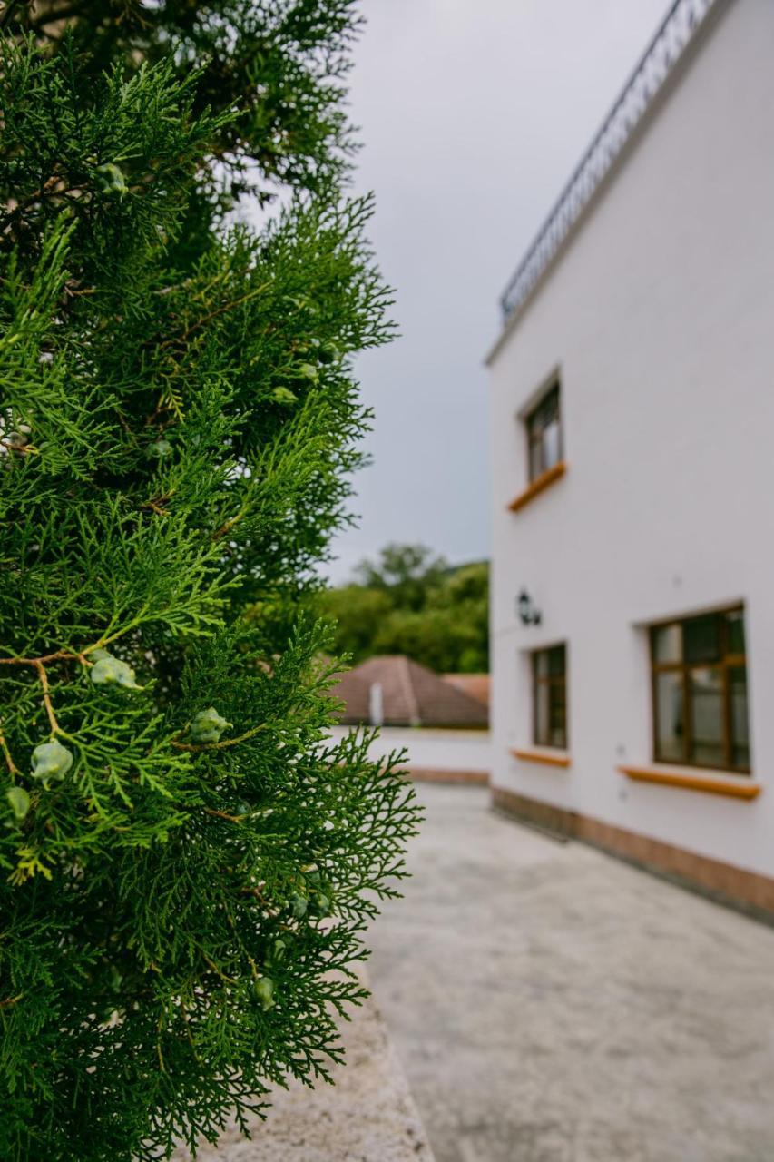 Pensiunea Vila Europa Deva Exterior photo